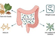 Fibermaxxing &Amp; Metabolic Health: The Gut-Weight Connection (2026 Guide) 13 Scientific infographic illustrating the fibermaxxing & metabolic health connection, showing a stylised colon cross-section surrounded by four outward-pointing clusters representing gut microbiome diversity, weight reduction, insulin sensitivity, and reduced inflammation. Clean white background with no people or photography.